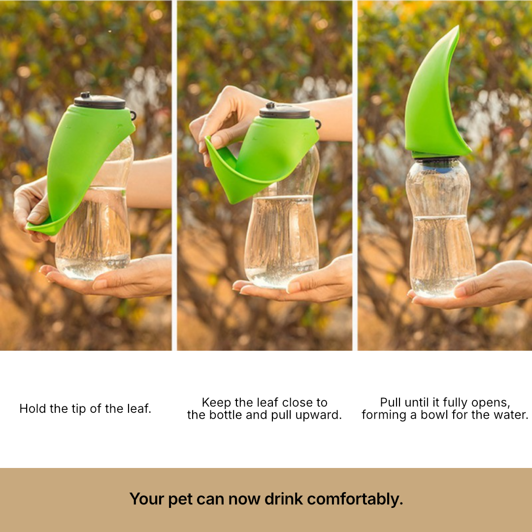 Portable Dog Water Bottle for Daily Walks
